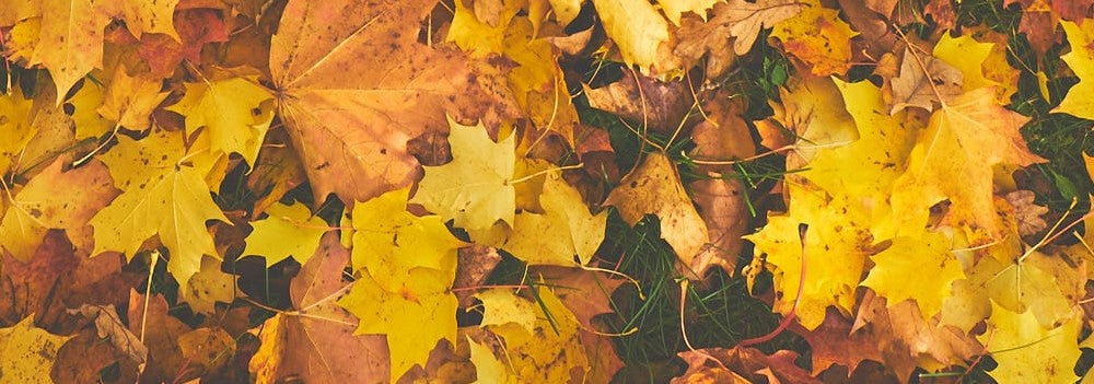 How to Decorate your Home for Fall
