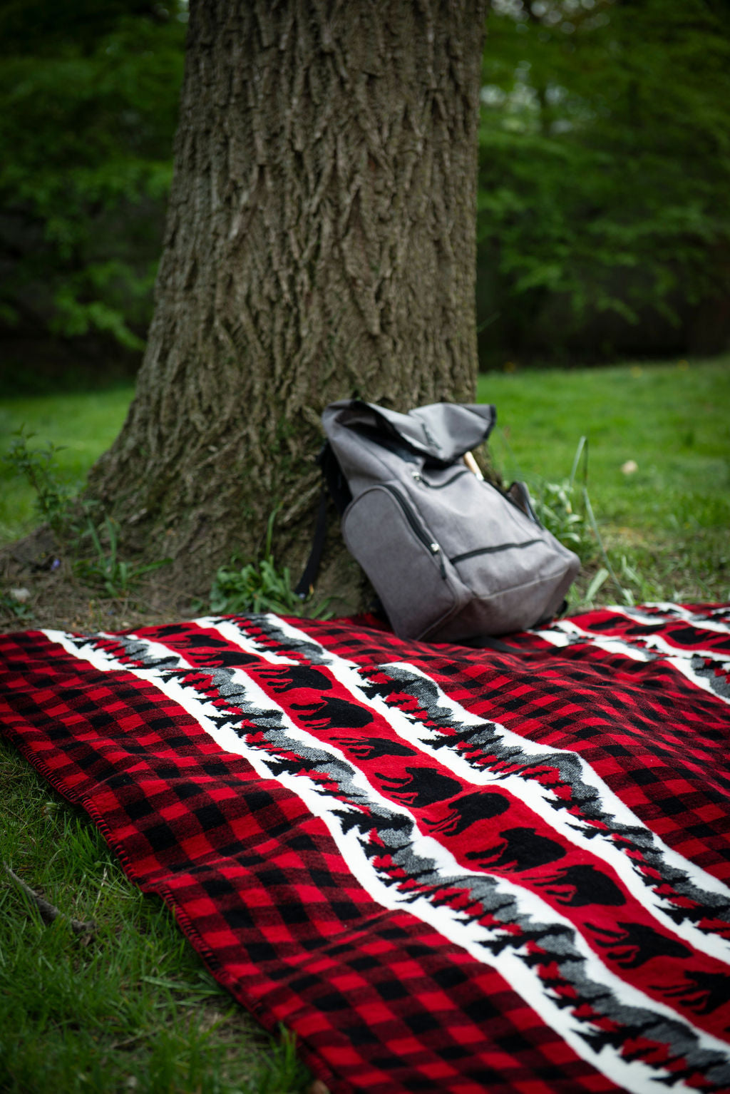 Bear Plaid Border Blanket 60"x72"